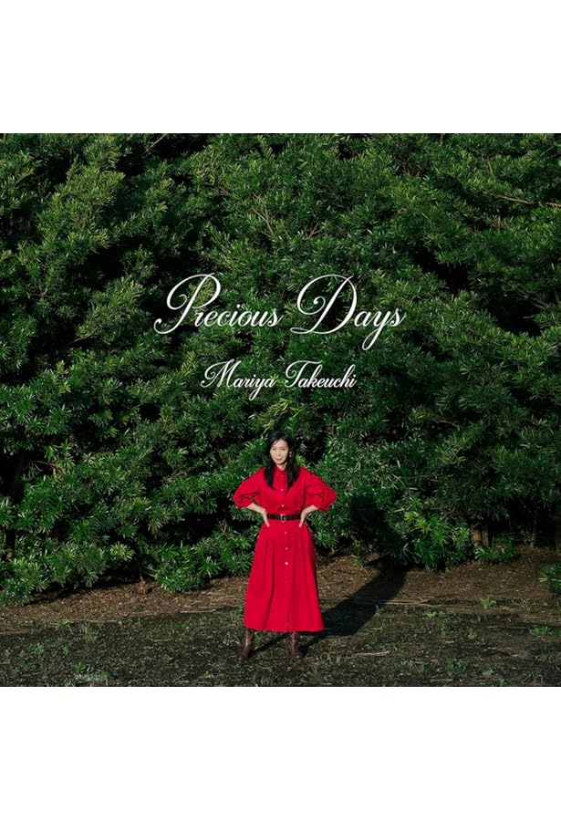 ミュージック arr ARS MUSIC 026AS/Strad SET II 4/4 バイオリンセット ARSミュージック